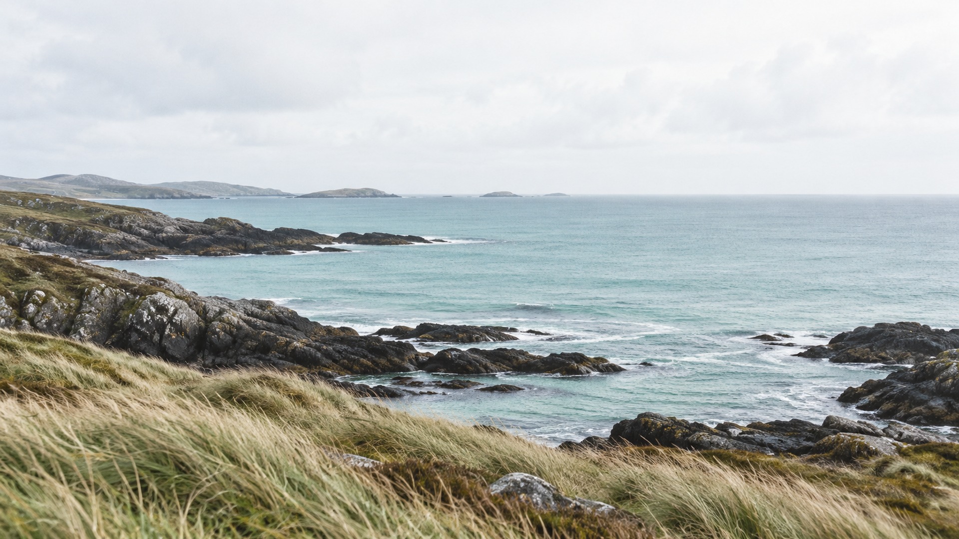 A quiet rocky coast with pale turquoise water and wind-blown sea grass.